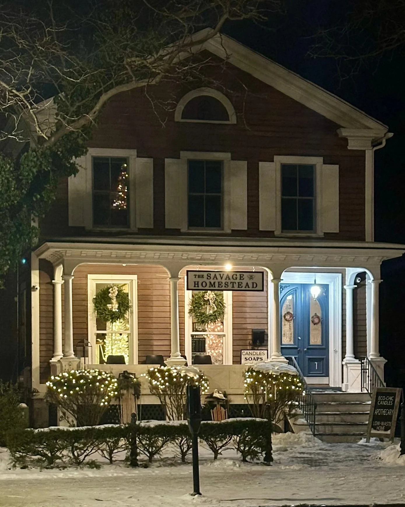 The Village of Skaneateles / Savage Homestead