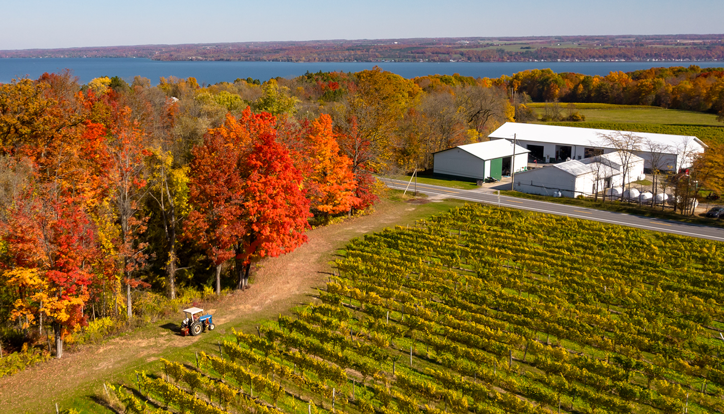 Vineyard rows with fall foliage and lake views representing the Finger Lakes wine region near Skaneateles, New York.